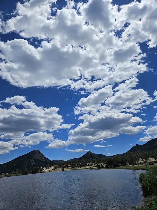 Estes Park Dog Park 10