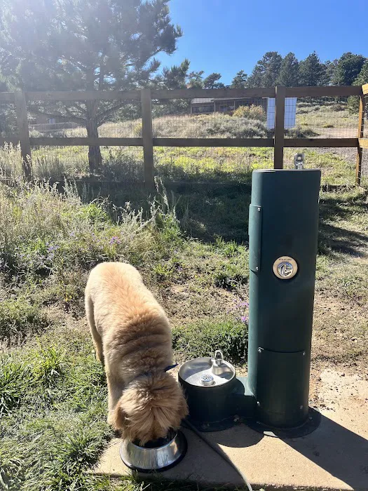 Murphys Mountain Dog Park 8