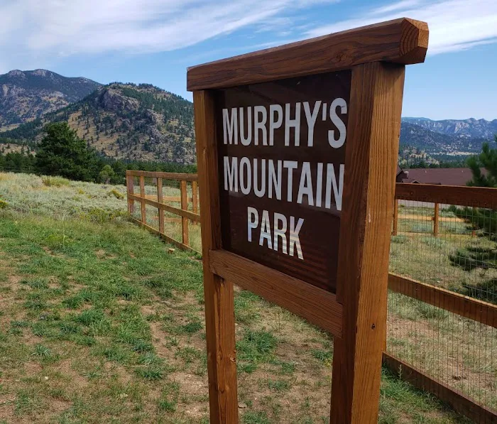 Murphys Mountain Dog Park 6