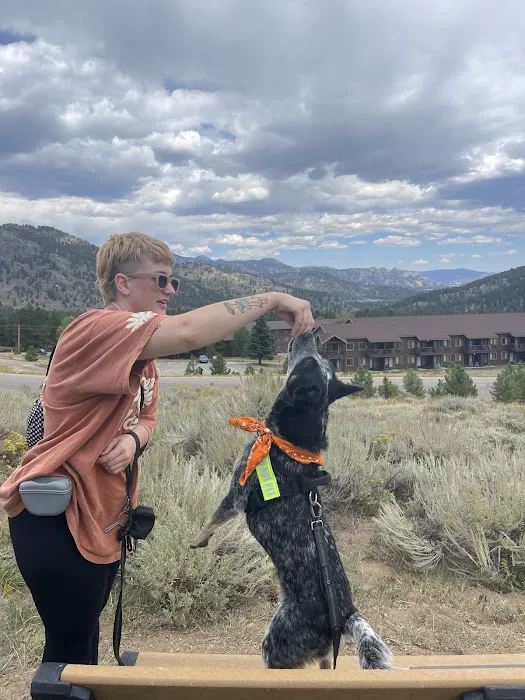 Murphys Mountain Dog Park 2