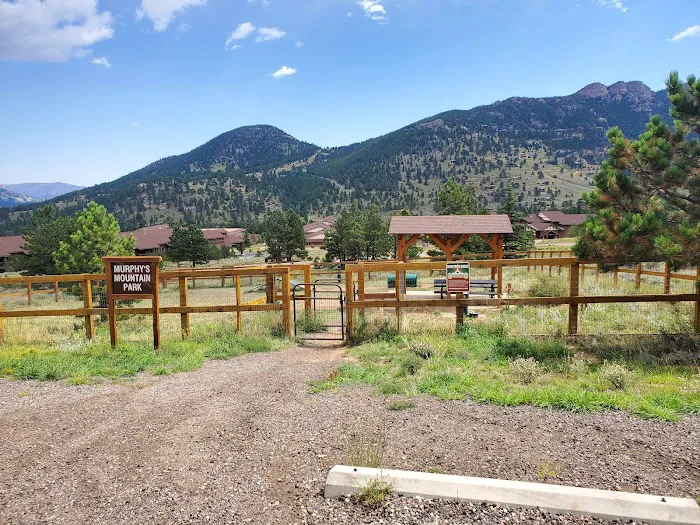 Murphys Mountain Dog Park 4
