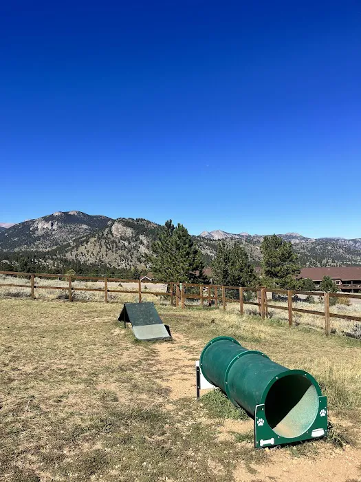 Murphys Mountain Dog Park 10