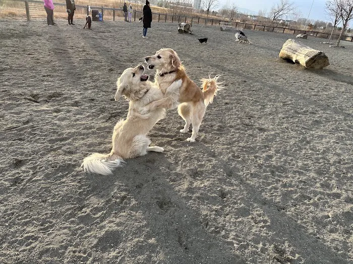 Twin Silo Dog Park 9