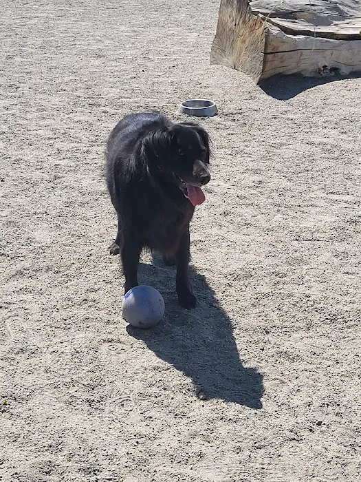 Twin Silo Dog Park 7