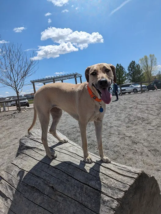 Twin Silo Dog Park 4