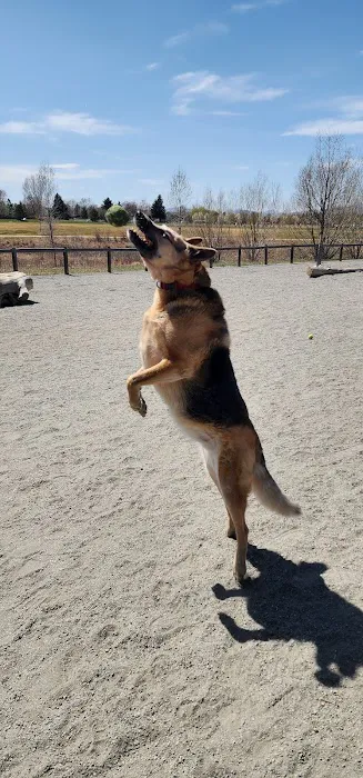 Twin Silo Dog Park 10