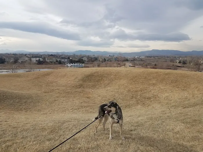Fossil Creek Dog Park 3