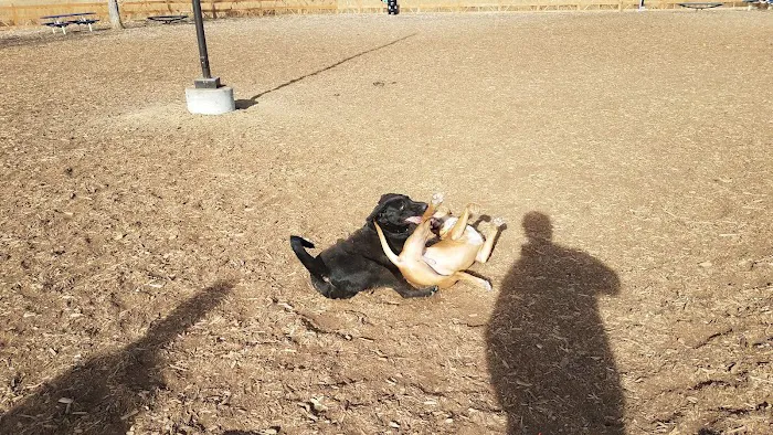 Fossil Creek Dog Park 5