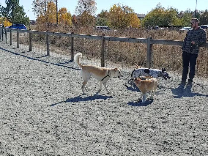 Fossil Creek Dog Park 6