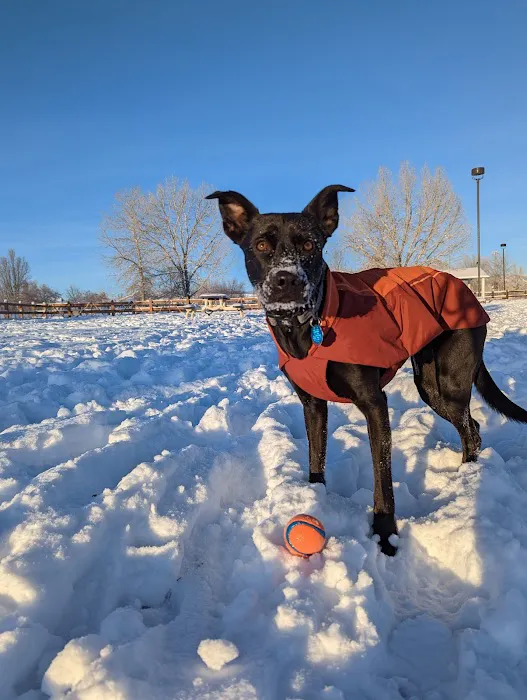 Fossil Creek Dog Park 2