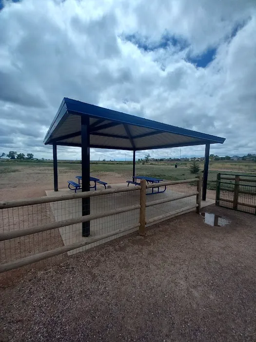 Severance Dog Park 4