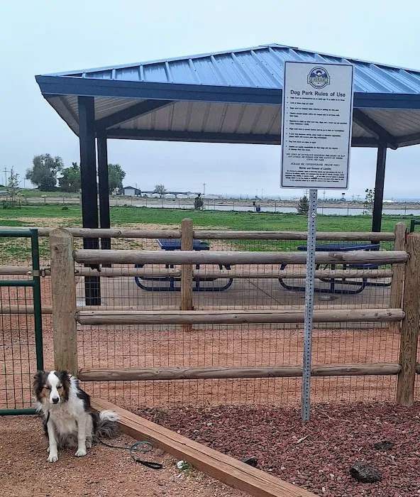 Severance Dog Park 3