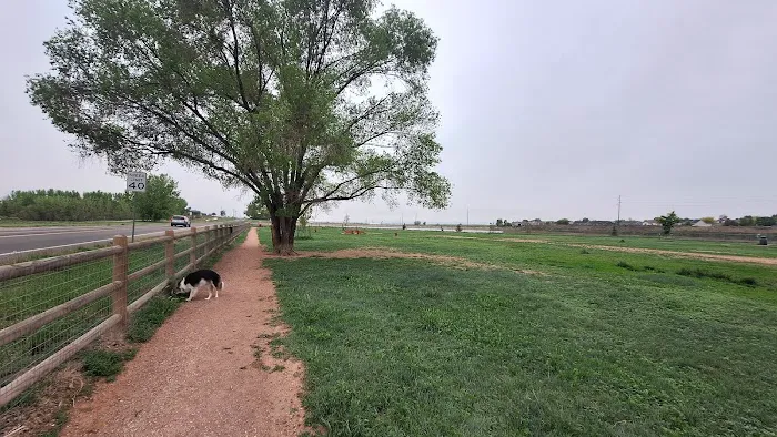Severance Dog Park 1