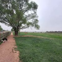 Severance Dog Park ico