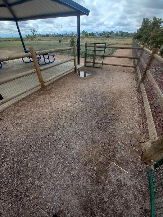 Severance Dog Park 7