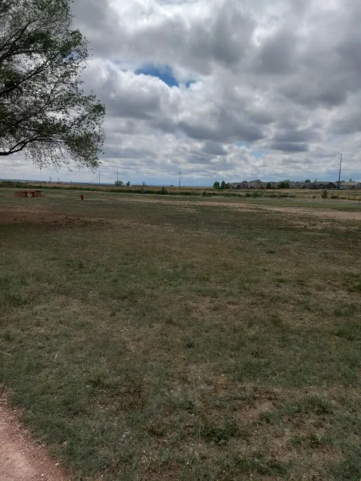 Severance Dog Park 6