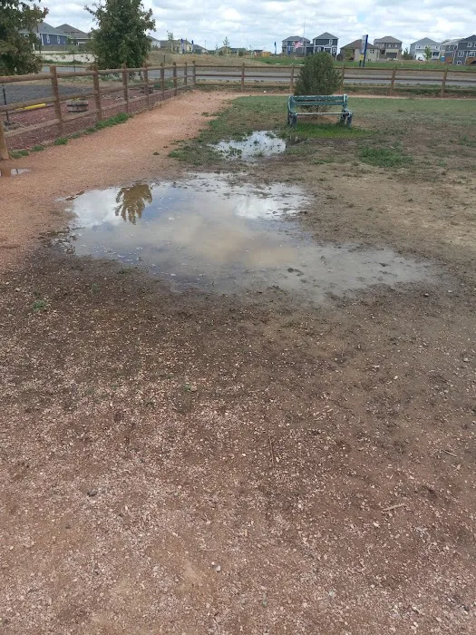 Severance Dog Park 5