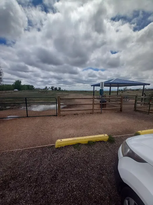 Severance Dog Park 10