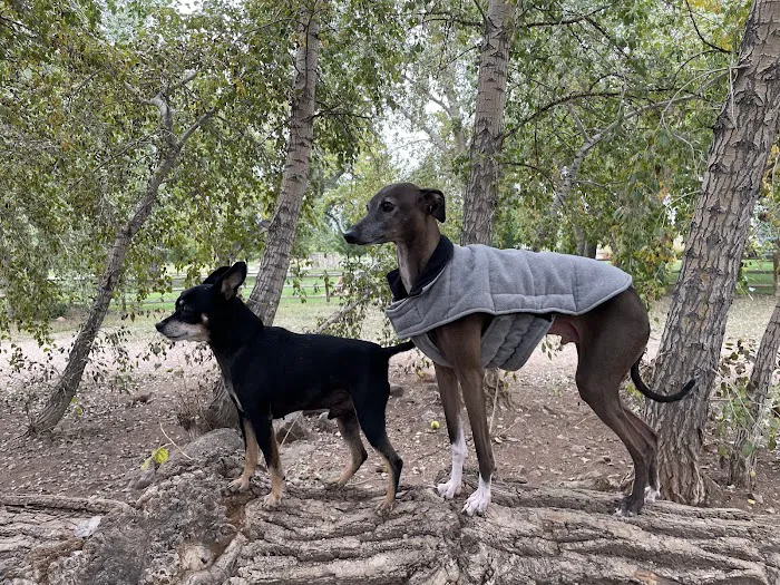 Spring Canyon Dog Park 5