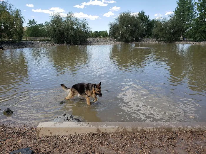 Spring Canyon Dog Park 2