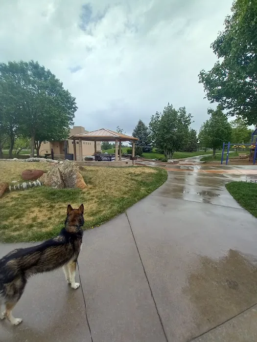 Soft Gold Dog Park 1
