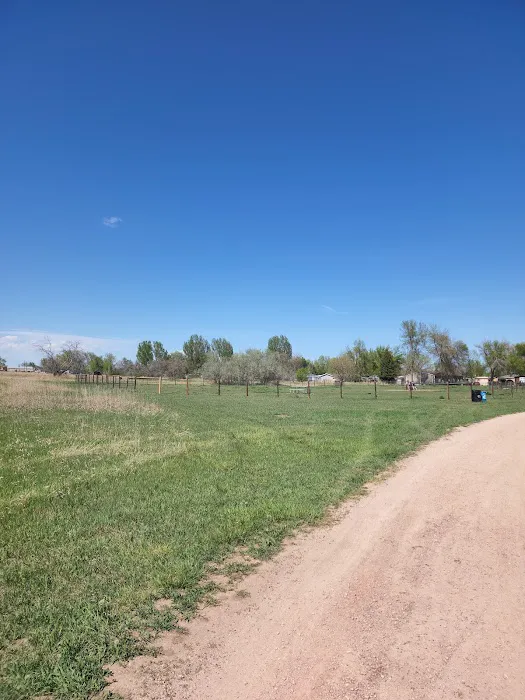Soft Gold Dog Park 2