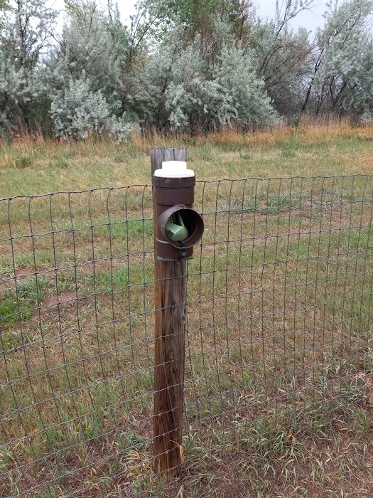Soft Gold Dog Park 4