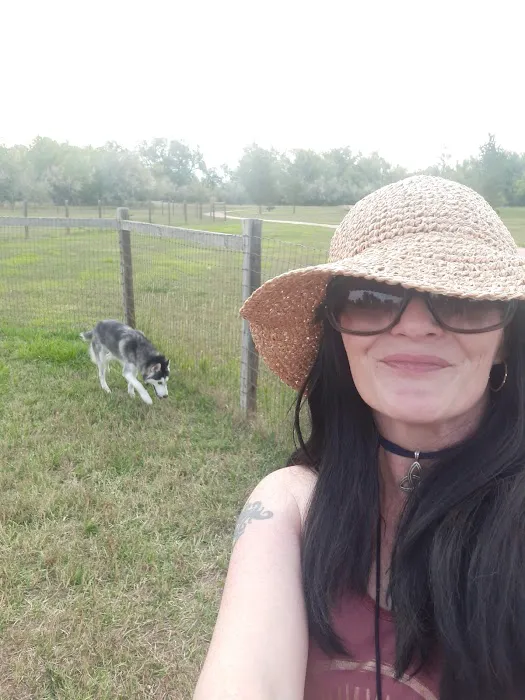Soft Gold Dog Park 3