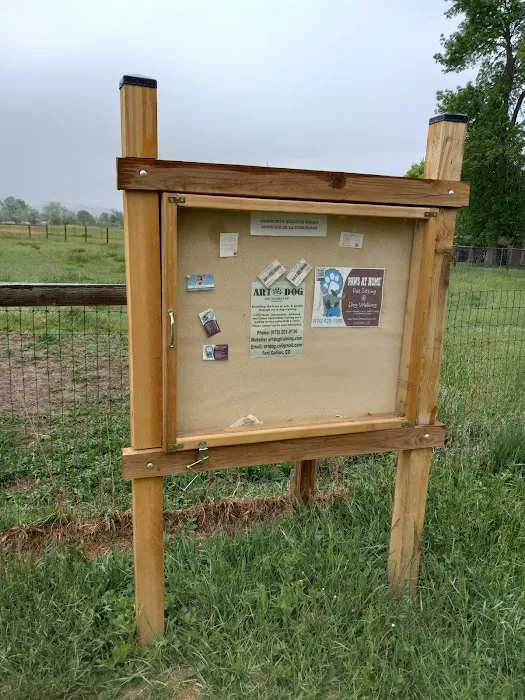 Soft Gold Dog Park 8