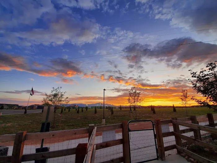 Vista Dog Park 6