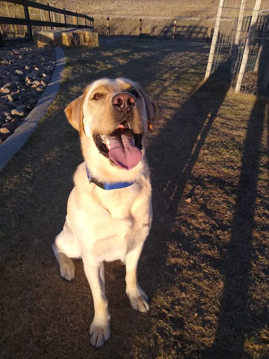 Vista Dog Park 7