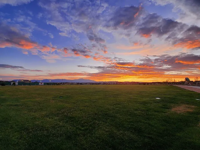 Vista Dog Park 3