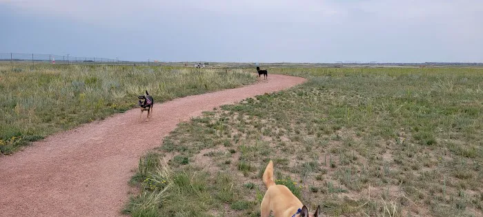 Falcon Regional Dog Park 1