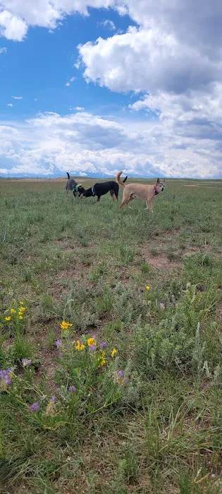 Falcon Regional Dog Park 3