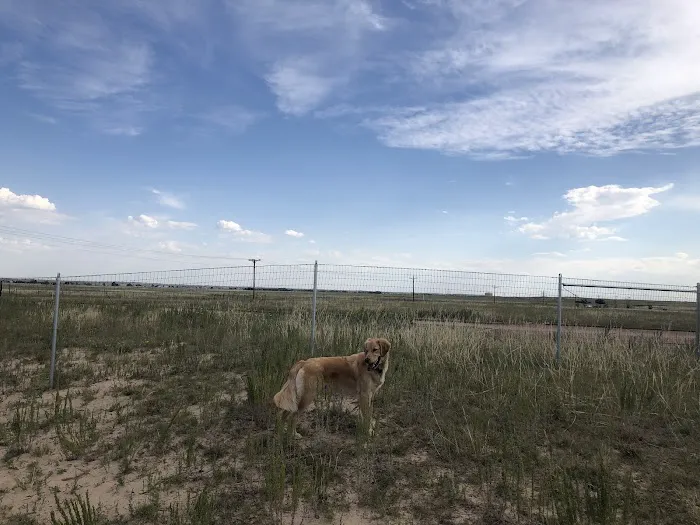 Falcon Regional Dog Park 4