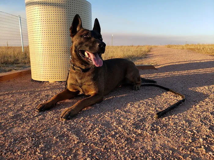 Falcon Regional Dog Park 9