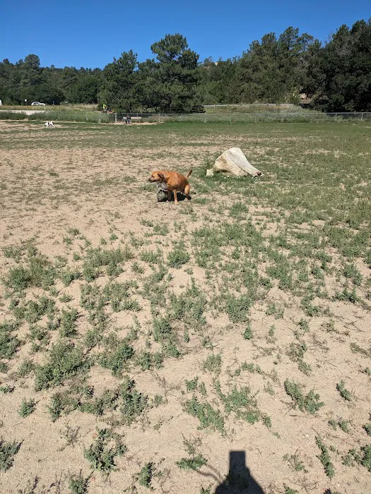 Palmer Park Dog Park 8