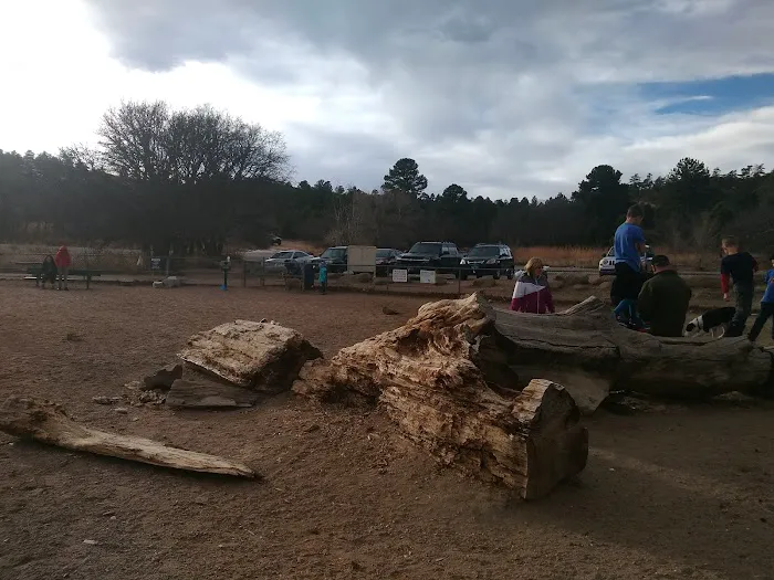 Palmer Park Dog Park 3