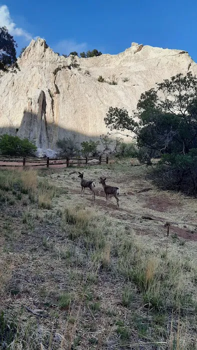 Garden of the Gods Off-Leash Area 5