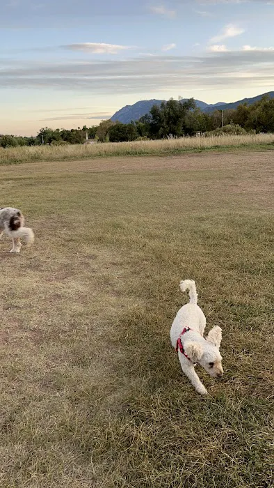 Garden of the Gods Off-Leash Area 8