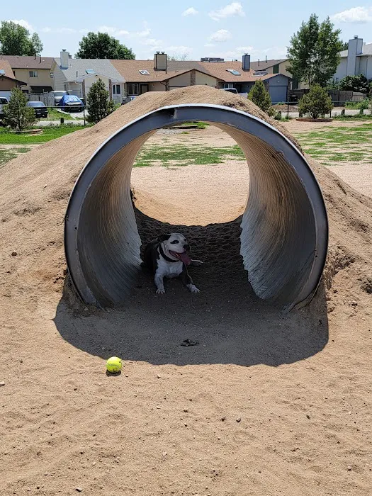 Eastridge Dog Park 4