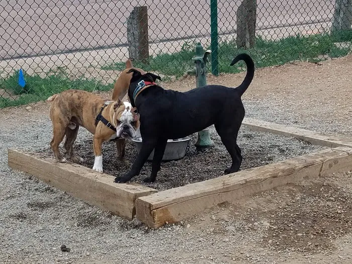Eastridge Dog Park 2