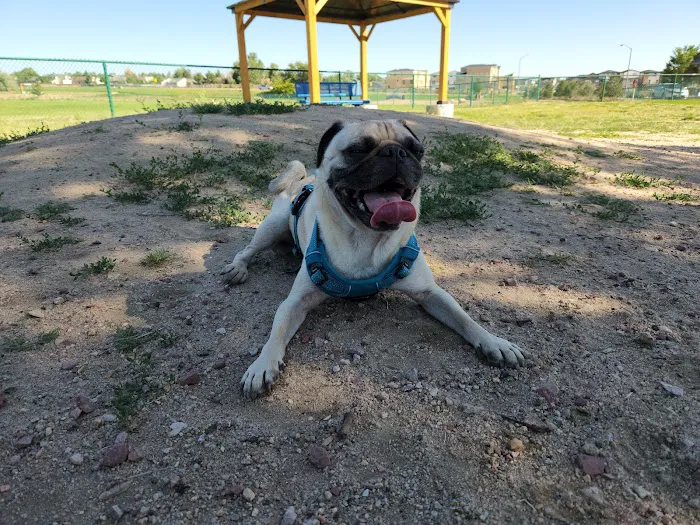 Eastridge Dog Park 5