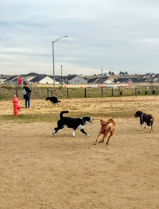 Eastridge Dog Park 6