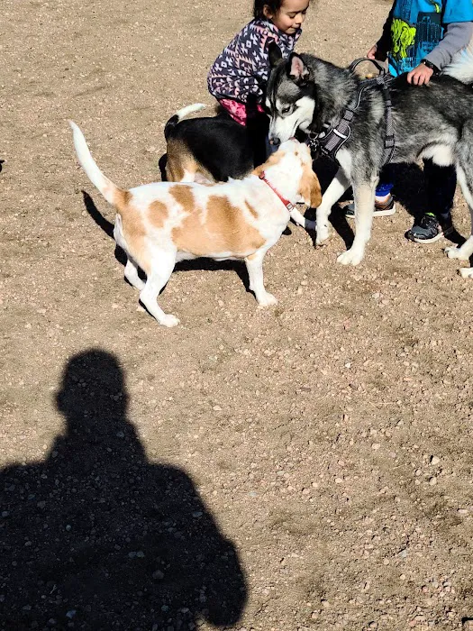 Eastridge Dog Park 3