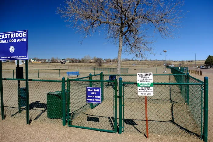 Eastridge Dog Park 7