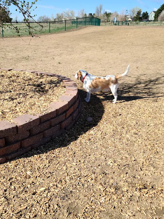 Eastridge Dog Park 8