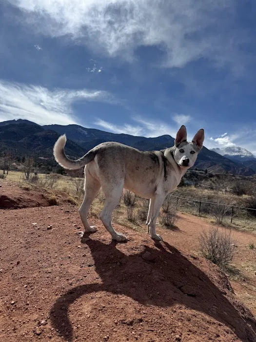Red Rocks Dog Park 1