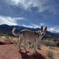 Red Rocks Dog Park ico