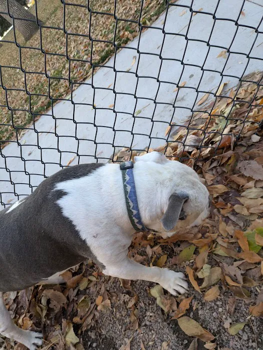 Antlers Dog Park 8